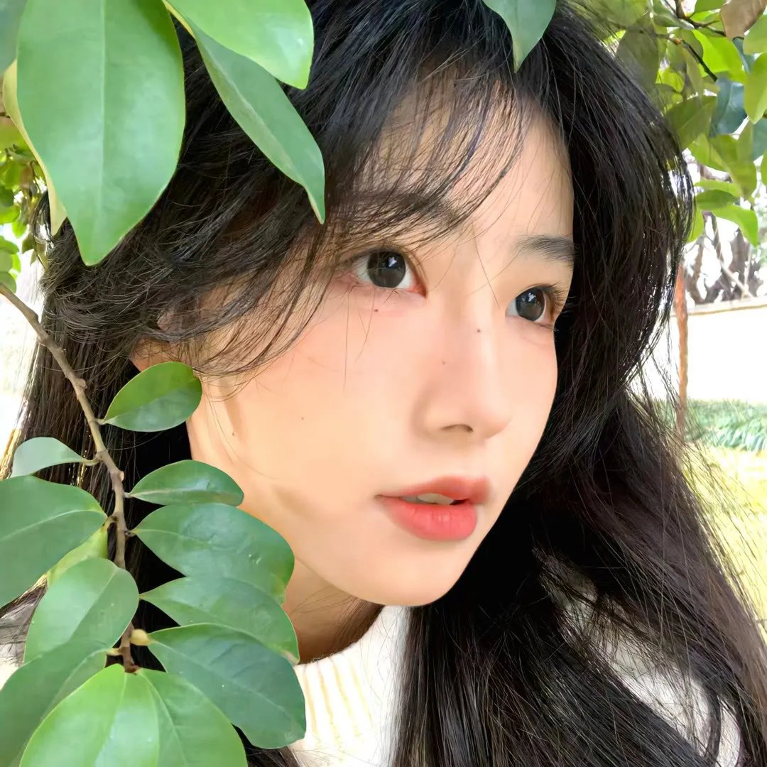 花季年华