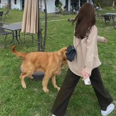 训练日