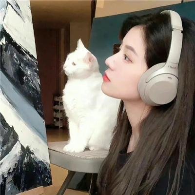 黑幕落下